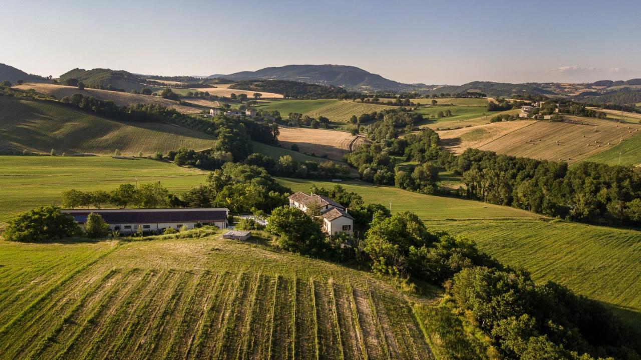 Agriturismo Podere Coldifico Sassoferrato Exterior foto